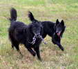 Brina and Bea, 12 years old, photo Olga Sovkov