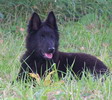 2,5 months old, photo: O.Sovkov