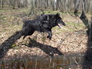 9 months old, photo: Jaroslava Podmolov