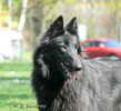 11 months old, photo: Hana Pisarkov