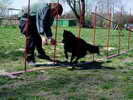 first steps in agility