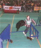 agility with Jessica