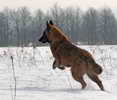 5 months old; photo: Inga Nikonoviiute