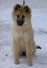 4 months old, photo: Blanka Polkov