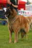 photo: Pes Jra
4 years old