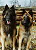 8 months old, with his father Axle