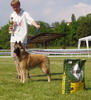 photo: Lenka echov
12 months old
BEST OF BREED - SPECIALITY